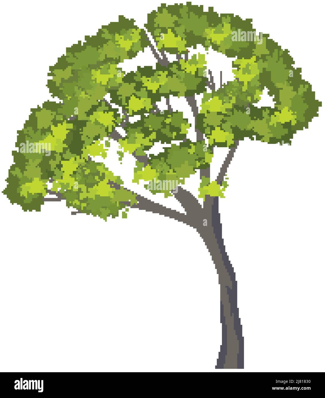 Isolated tree on white background illustration Stock Vector Image & Art ...