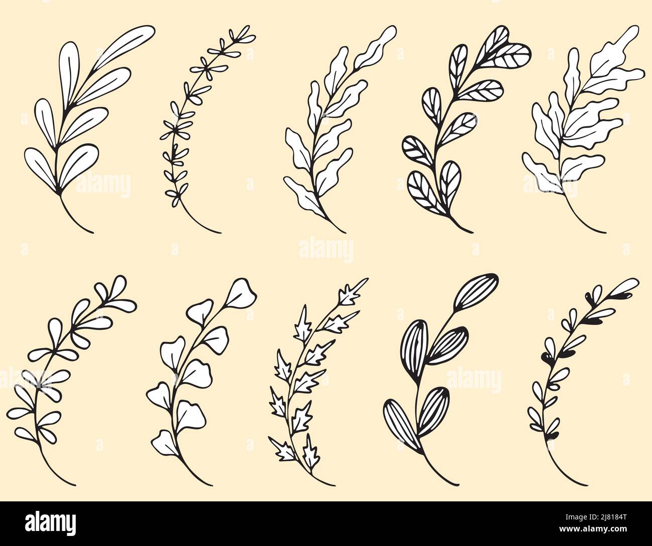 Set of Hand drawn doodle vector leaves and branches. Collection of tree ...