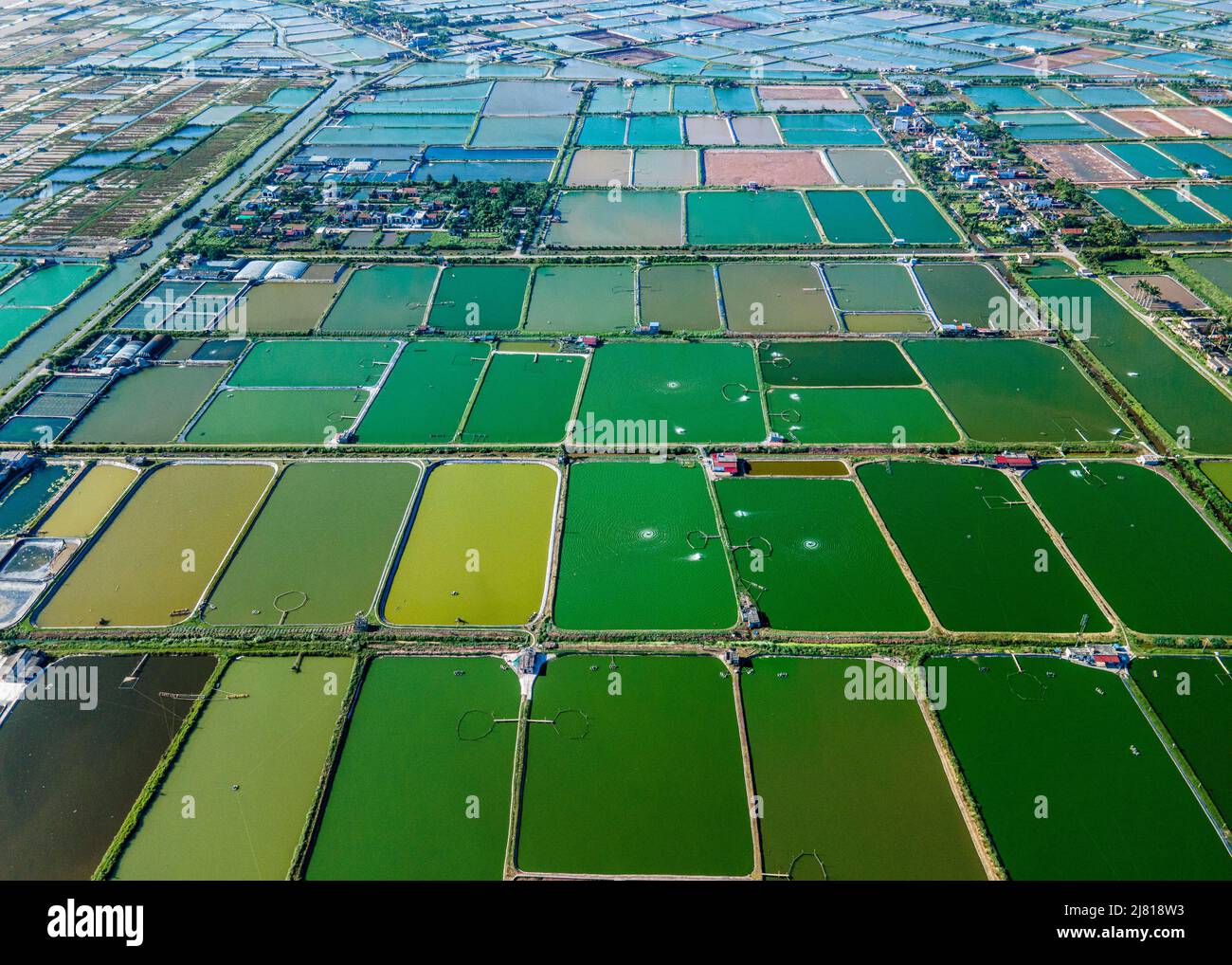 Aerial photo of shrimp farms nearby the sea dike in coastal areas of