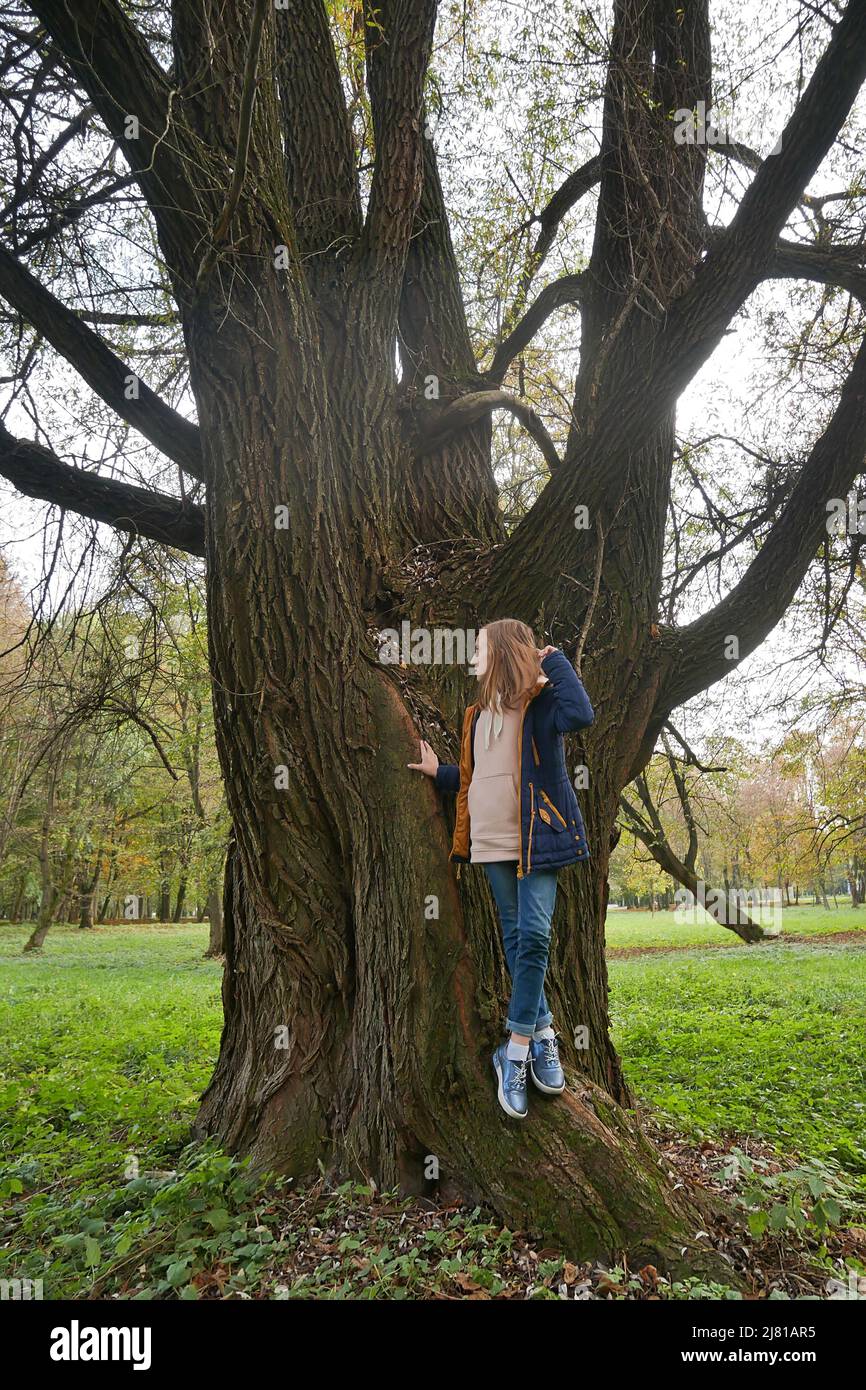 Dreamily teenage girl in towny park stands near giant willow tree in early autumn Stock Photo