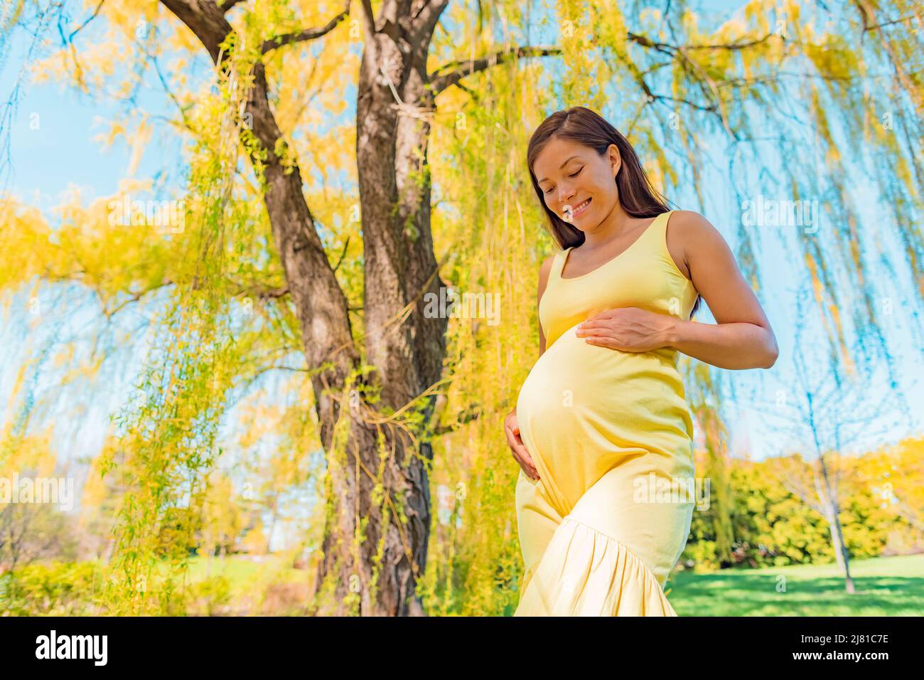 Asian pregnant woman smiling looking down at her baby bump for maternity pregnancy photoshoot in yellow spring park nature outdoors. Healthy happy Stock Photo