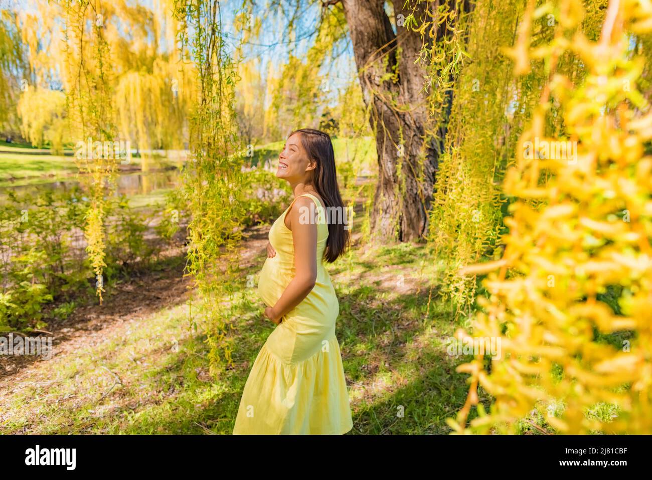 Pregnancy maternity young Asian expecting woman walking in yellow willow trees park happy