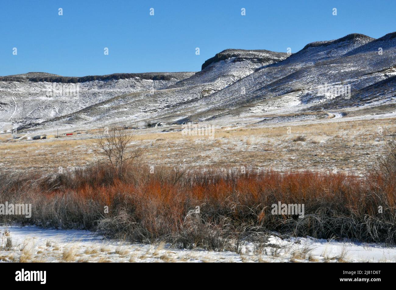 Colorado winter landscape in foothills lightly covered with snow and wild grasses Stock Photo