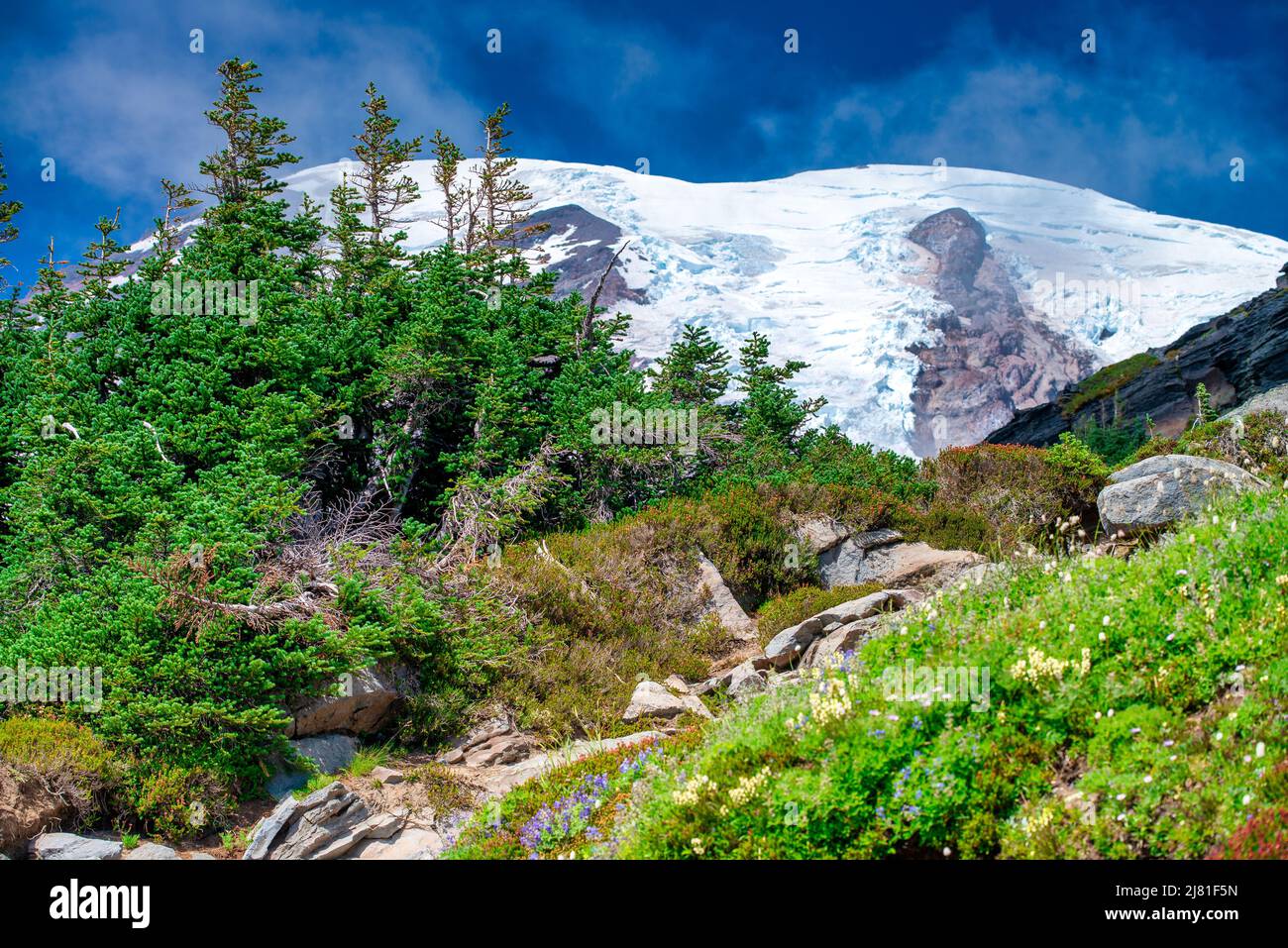 Mount Rainier with snowy peak on a beautiful sunny day, Washington, USA Stock Photo