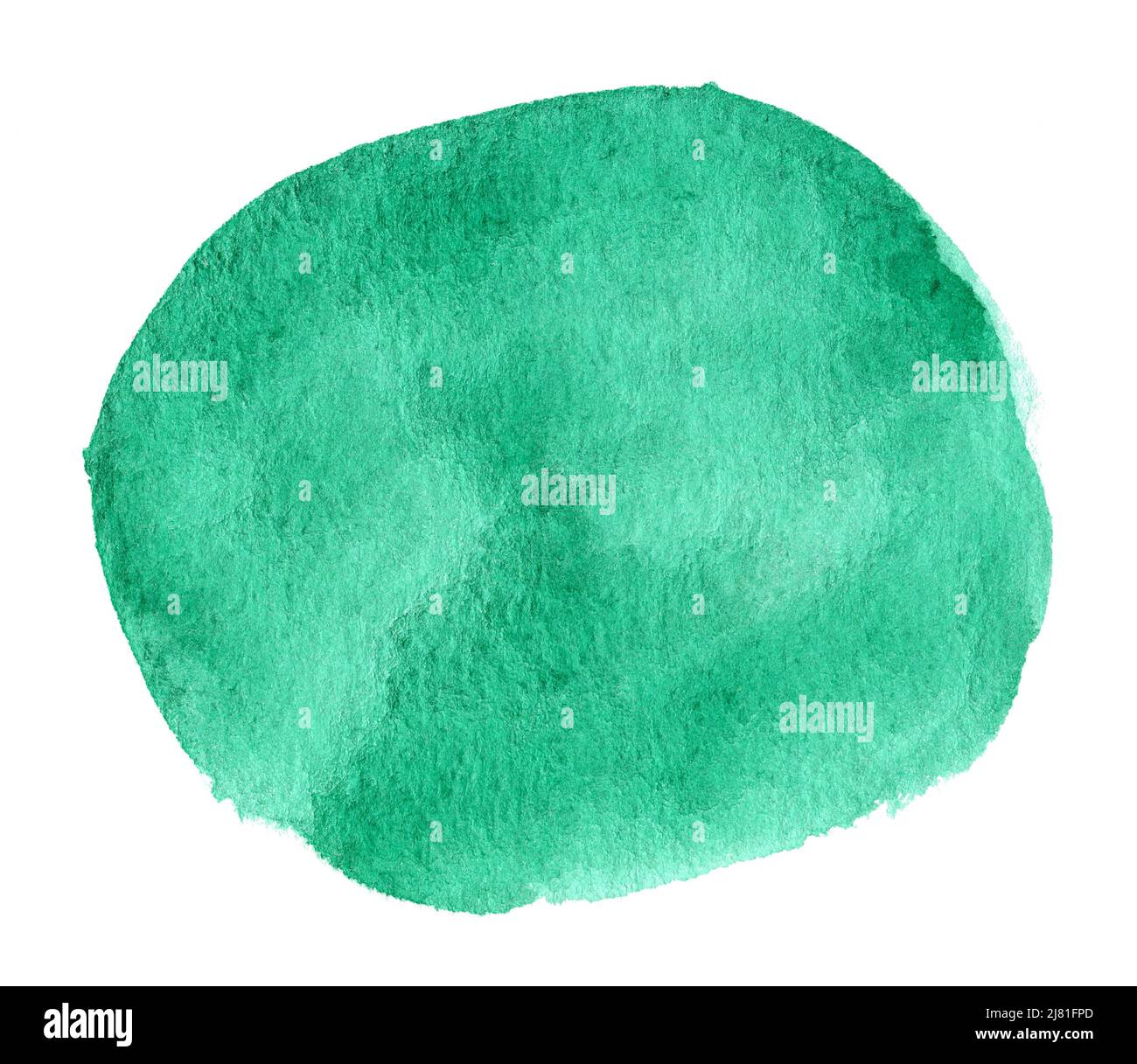 Green watercolor hand drawn stain on white paper grain texture ...