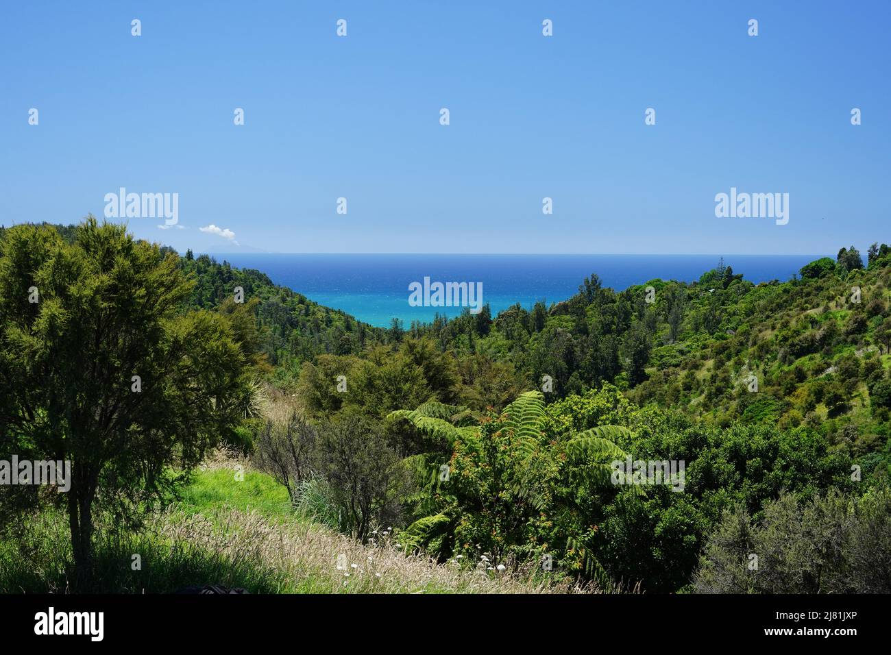 View of the Pacific Ocean from the Bay of Plenty region of New Zealand Stock Photo