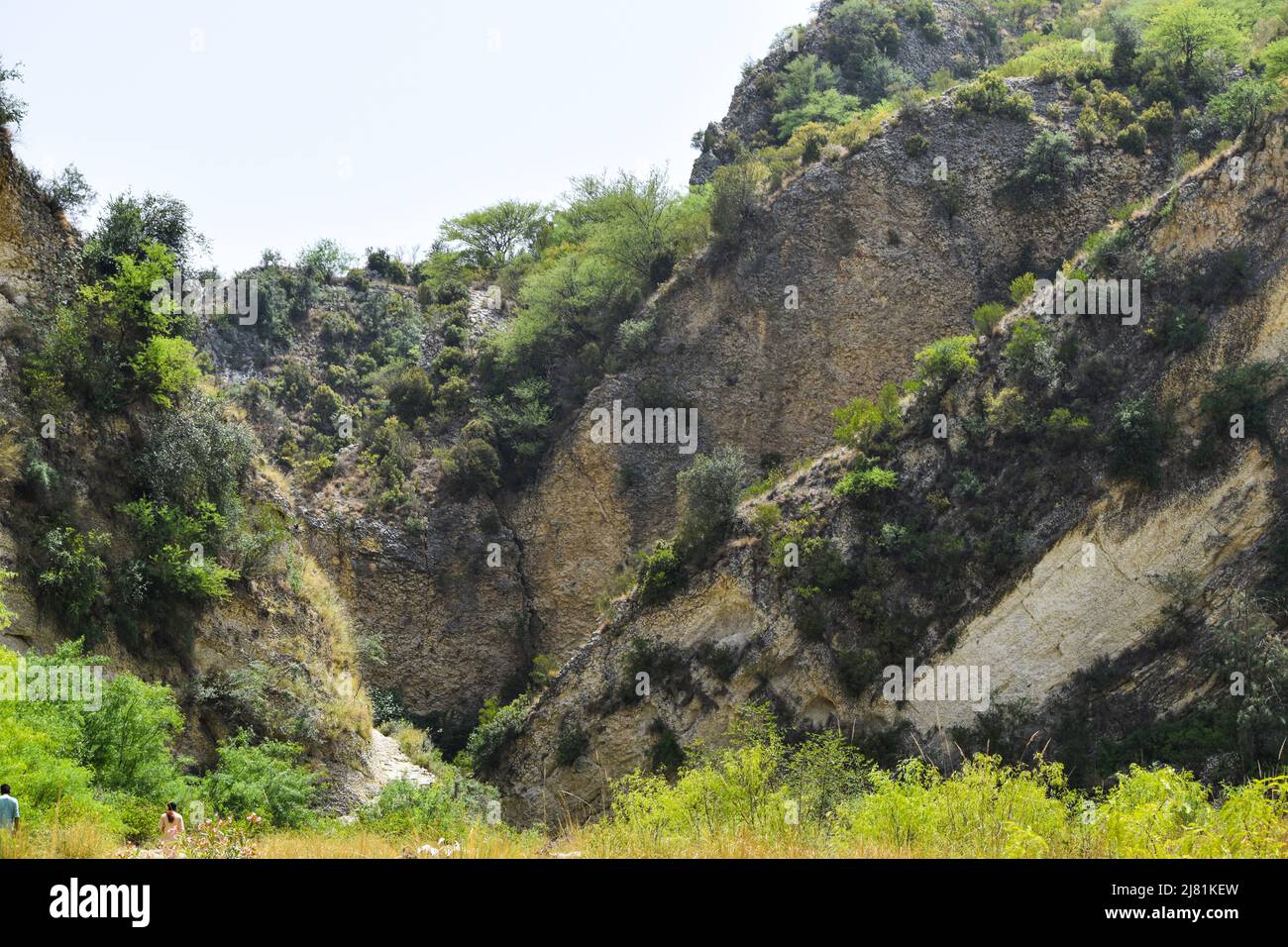 hd nature background with mountains, stones , trees, flowers and garden ...