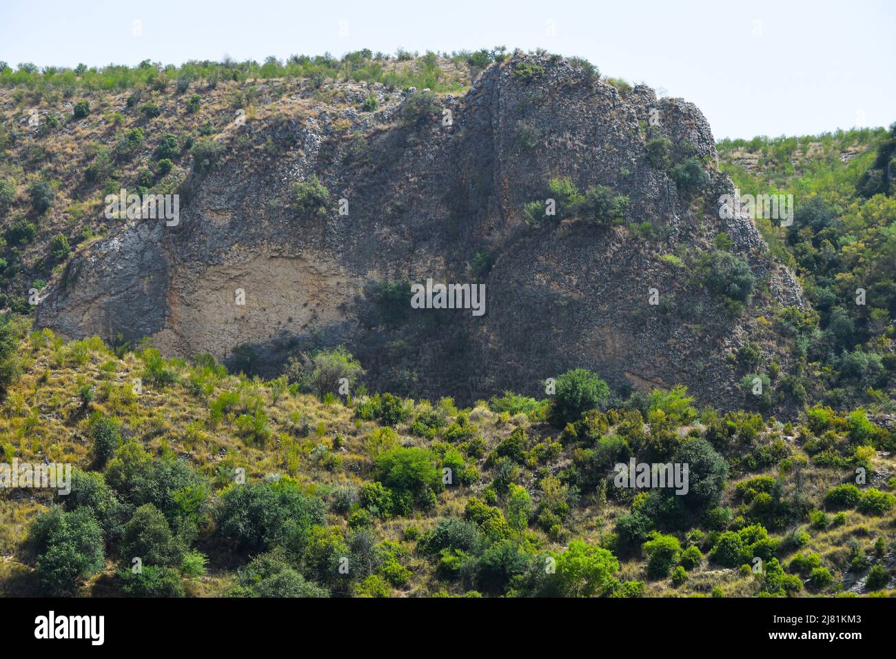 hd nature background with mountains, stones , trees, flowers and garden ...