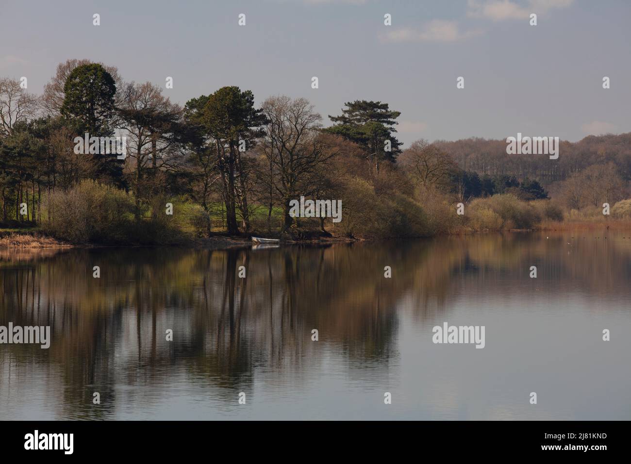 trees reflecting in water - Stock Image