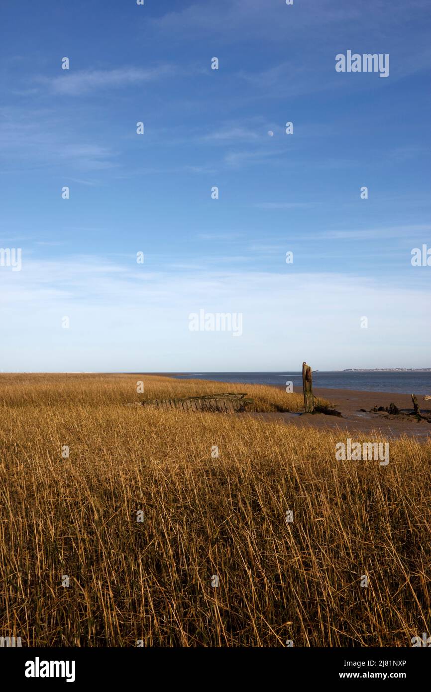 River Swale at The Swale National Nature Reserve, Isle of Harty, Isle of Sheppey, Kent, England, UK Stock Photo