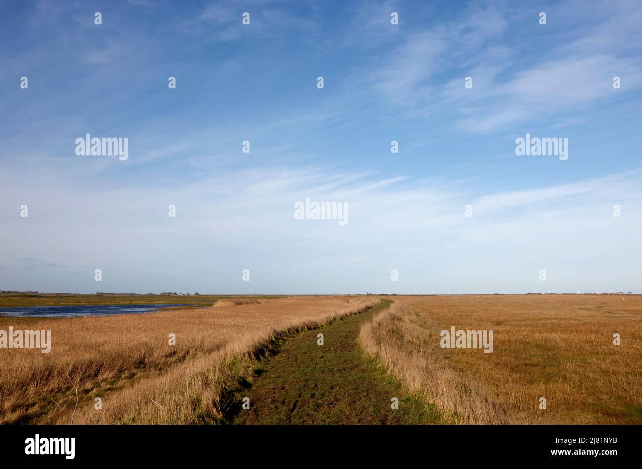 Footpath across The Swale National Nature Reserve, Isle of Harty, Isle of Sheppey, Kent, England, UK Stock Photo