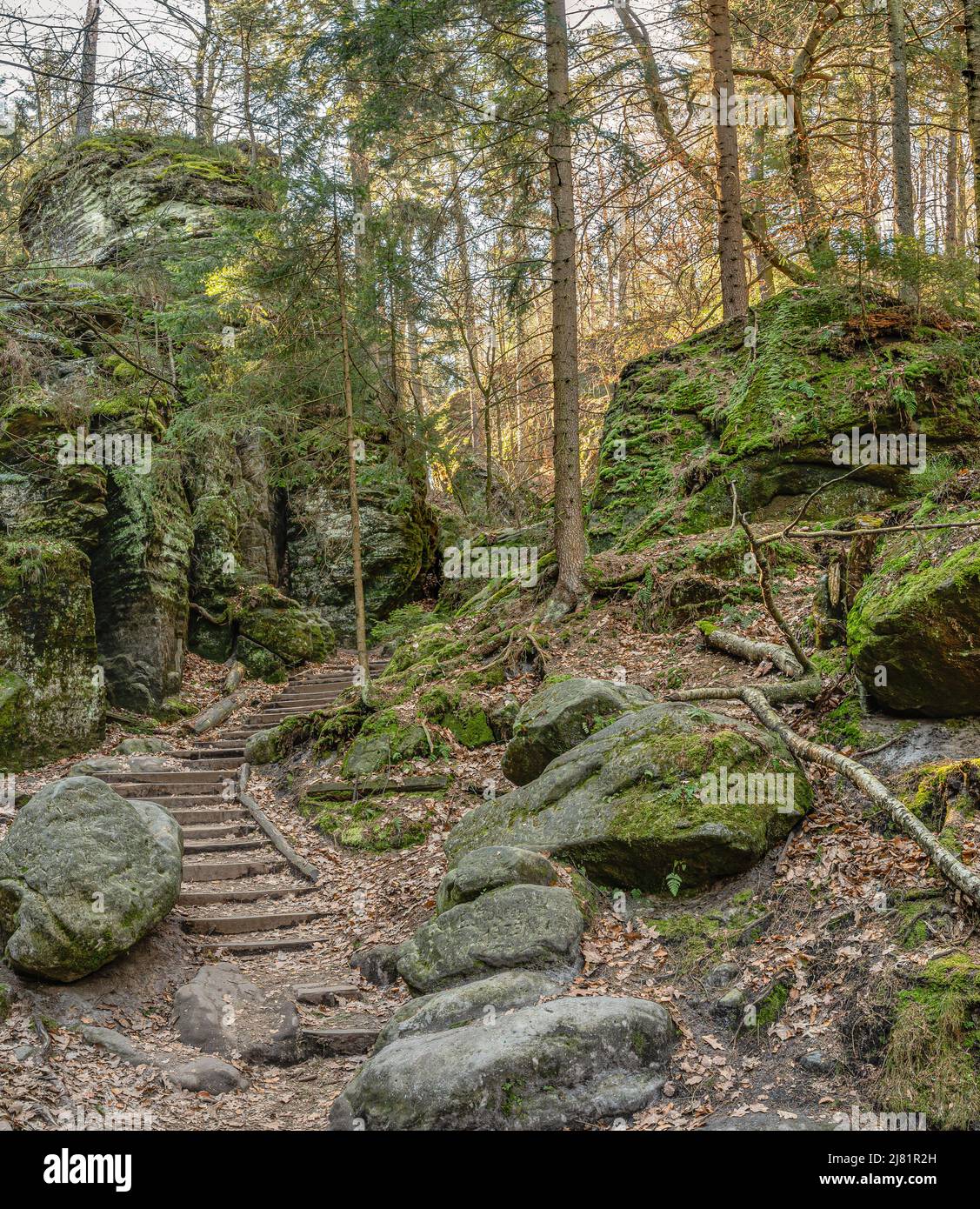 Hiking trail at the Schwedenloecher at the Saxon Switzerland National Park, Saxony; Germany Stock Photo