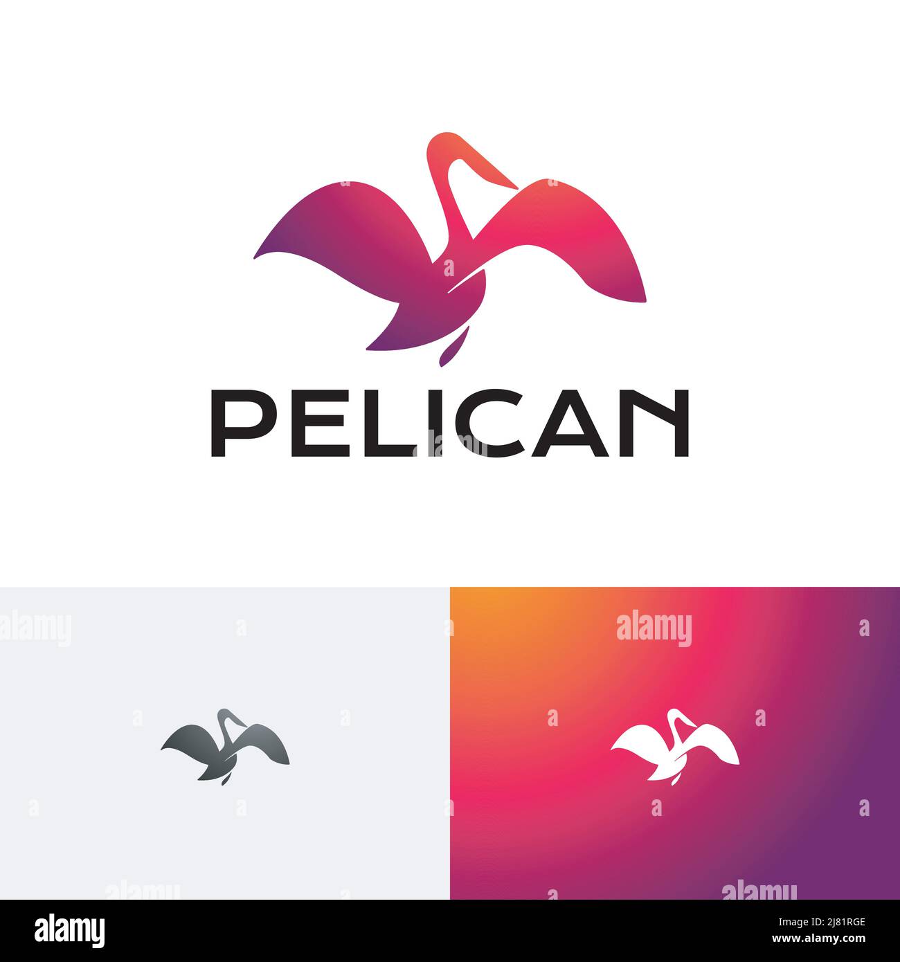 Beautiful Pelican Spread Wings Exotic Bird Silhouette Logo Stock Vector