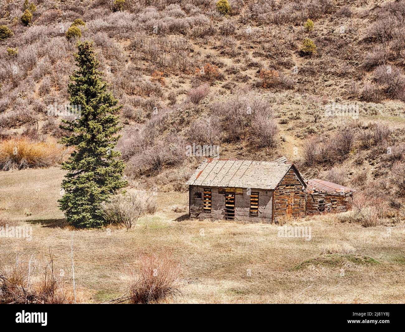 A small farm barn or shed sits at the edge of a rural field near Snowmass in Colorado. Stock Photo
