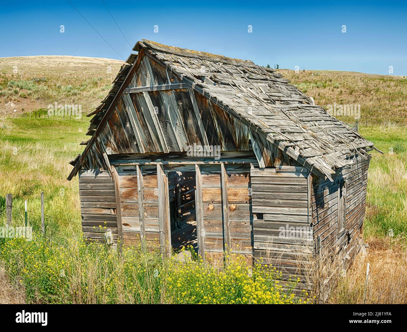 An old wooden barn stands in the fields near Molson, Washington. Stock Photo