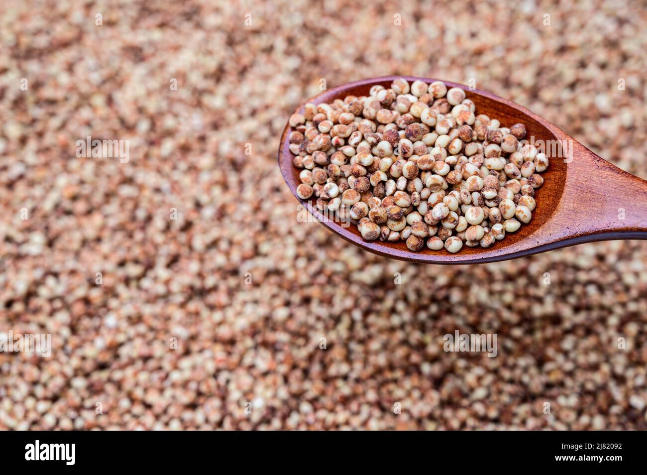 a pile of sorghum and sorghum in a wooden spoon. Stock Photo