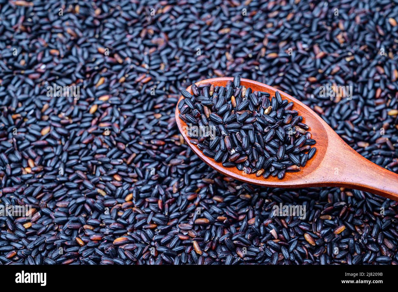 a pile of black rice and black rice in a wooden spoon. Stock Photo