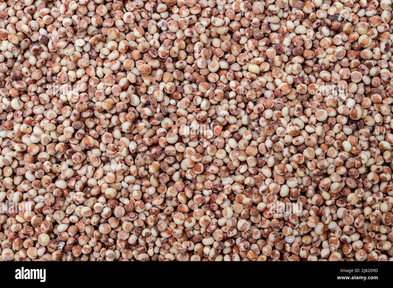 Sorghum top view background. Grain background. Stock Photo