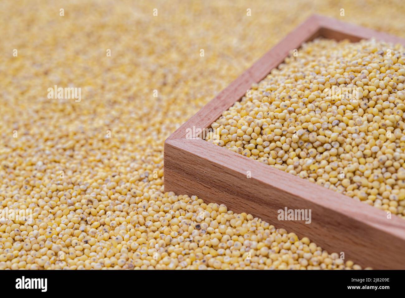 A background with millet stacked and a wooden bowl containing millet. Stock Photo