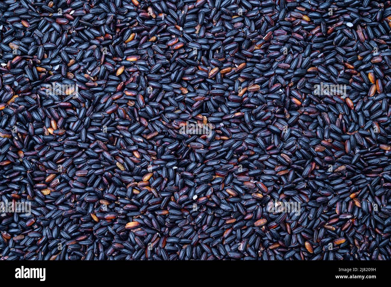 Black rice top view background. Grain background. Stock Photo