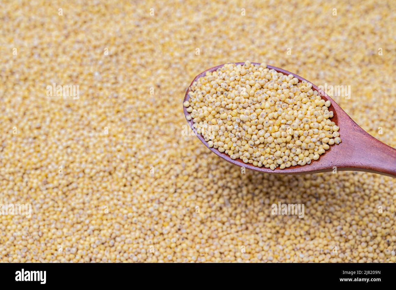 a pile of millet and millet in a wooden spoon. Stock Photo