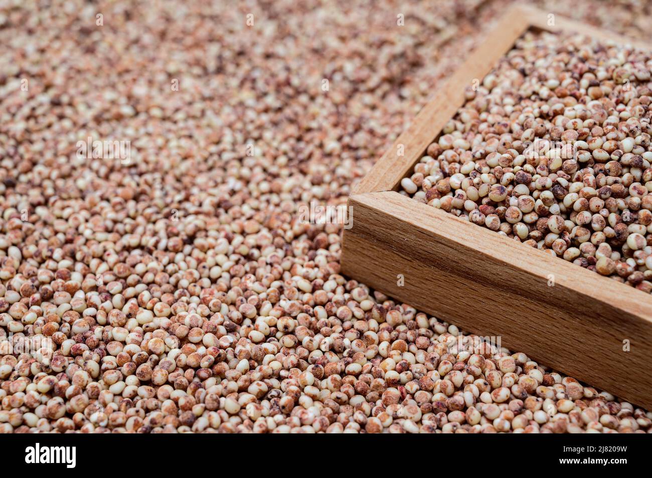 A background with sorghum stacked and a wooden bowl containing sorghum. Stock Photo