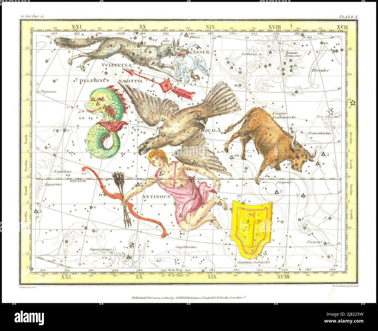 Alexander Jamieson - Aquila, Antinous, Scutum, Taurus, Sagittarius, Vulpecula, Anser - Delphinus - Plate 10 - 1822 Stock Photo