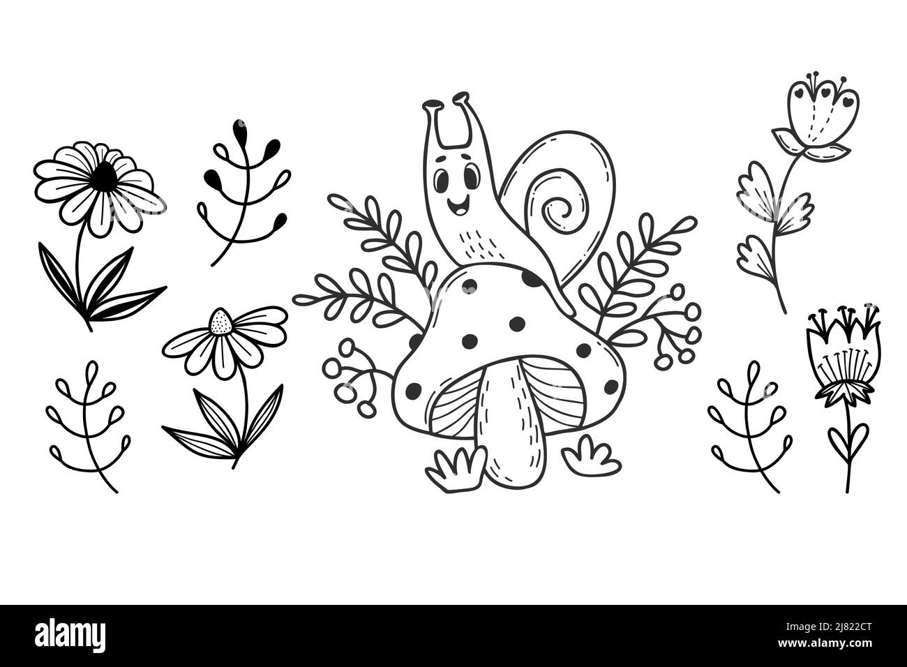 Collection Cute snail and decorative flowers, daisies and twigs. Linear ...