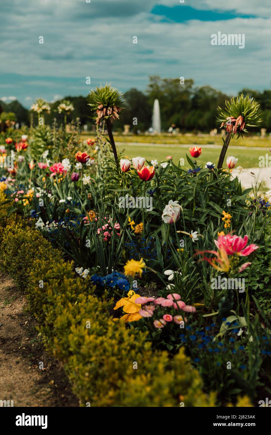 Lush flowers in a flower bed on a sunny day against the blue sky Stock Photo