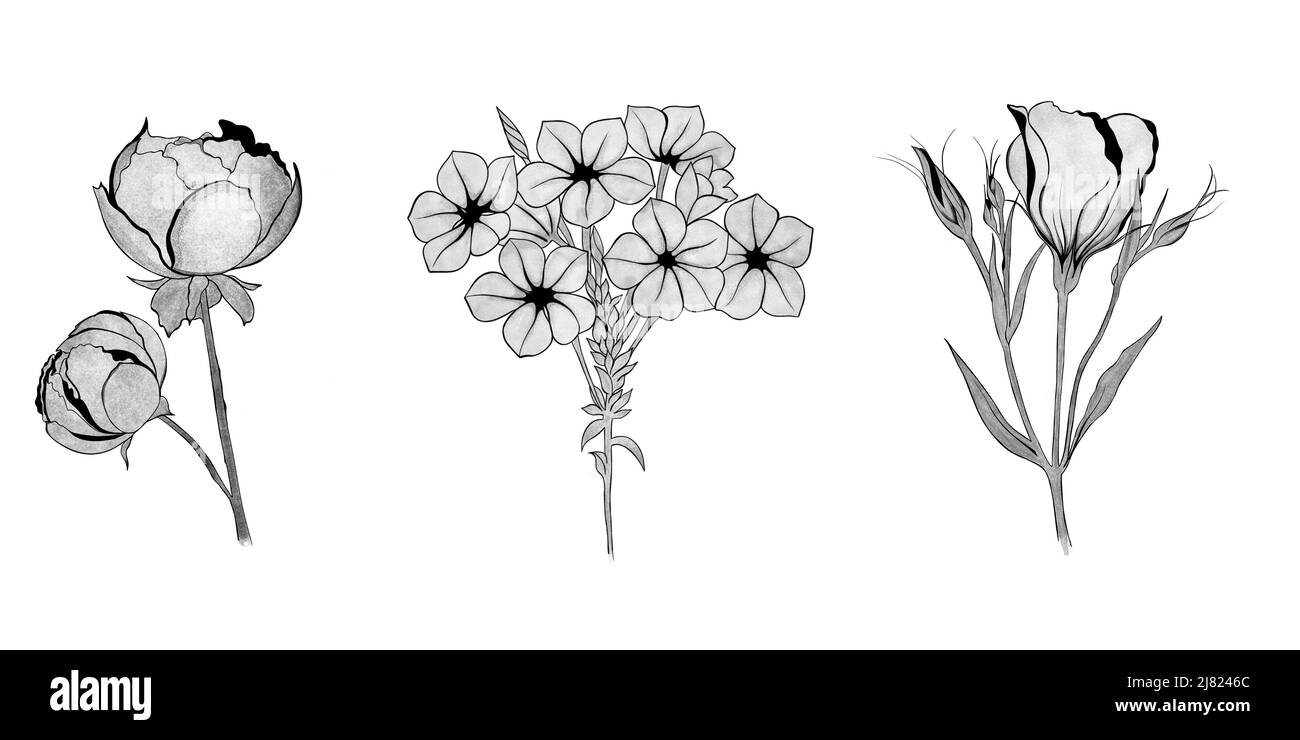 big set of flowers. Hand-drawn. design greeting card and invitation of the wedding, birthday, Valentine's Day, mother's day and other holiday Stock Photo