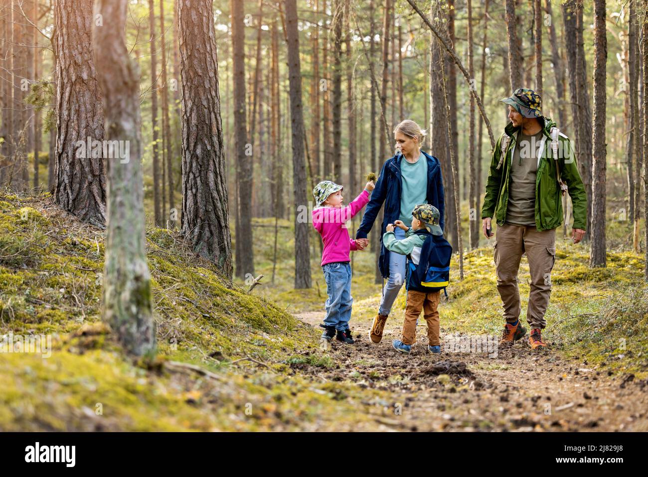 young family walking and exploring the forest with children. nature adventures Stock Photo