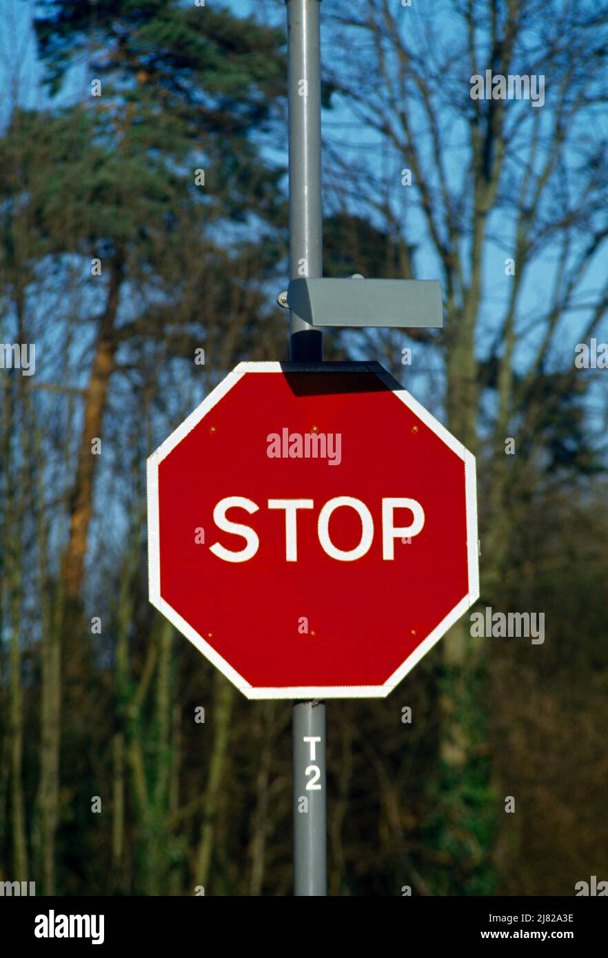 Road Stop Sign England Stock Photo
