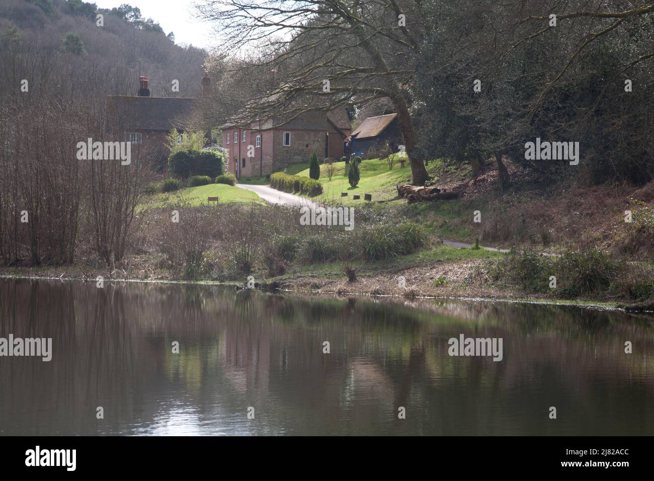 friday street houses and lake north downs surrey england Stock Photo