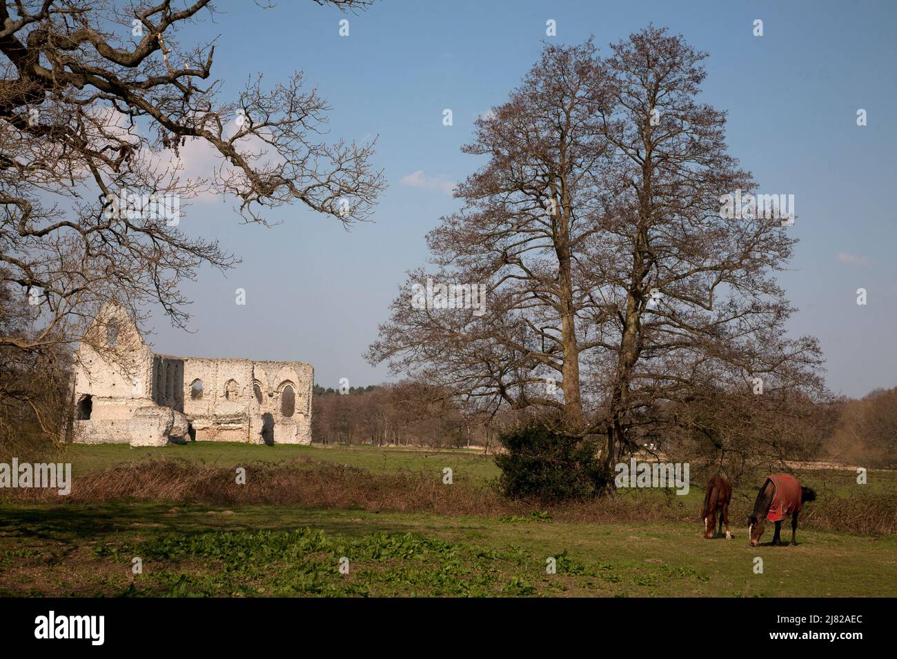 newark priory river wey navigation pyrford surrey england Stock Photo