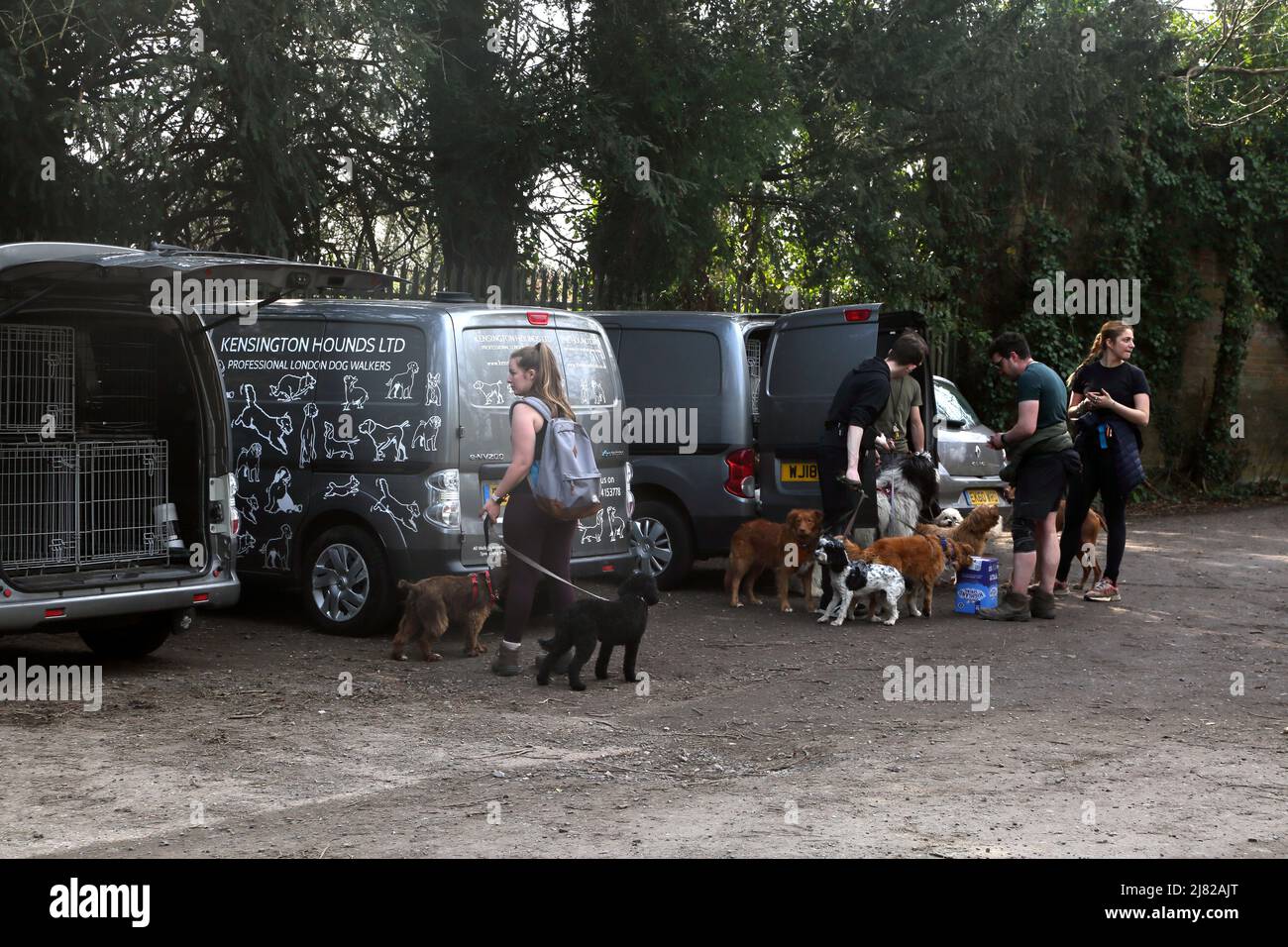 Dog Walkers in Car Park Dorking Surrey England Stock Photo
