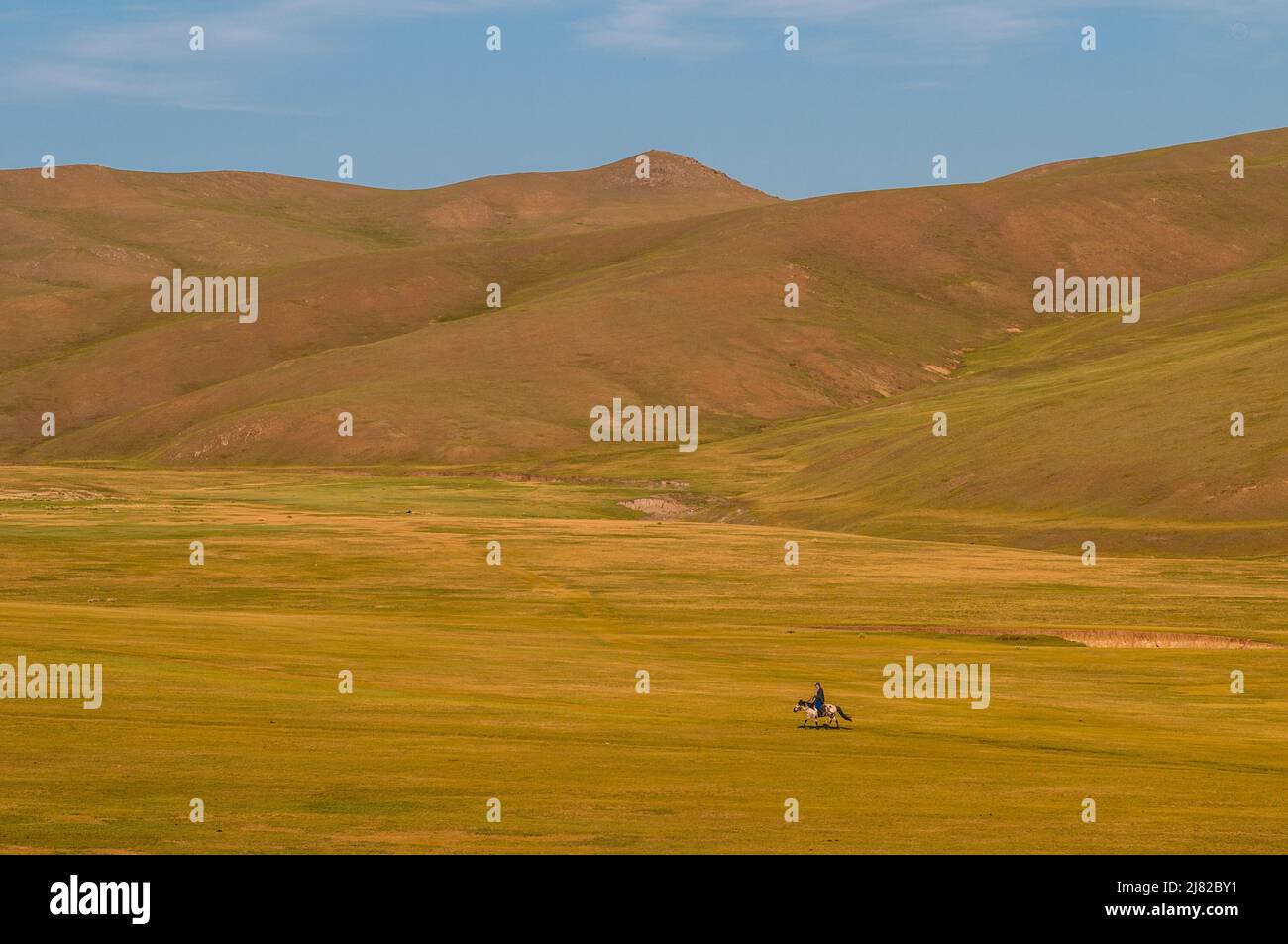 Lone Mongolian horseback rider travels through grasslands, Bogd Khan Mountain Protected Area, Mongolia. Credit Line: © Kraig Lieb Stock Photo