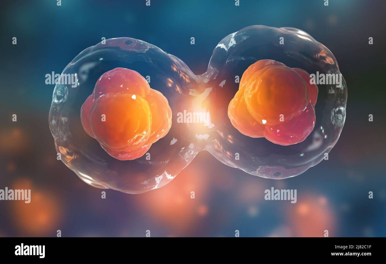Cells under a microscope. Cell division. Cellular Therapy. 3d illustration on a dark background Stock Photo