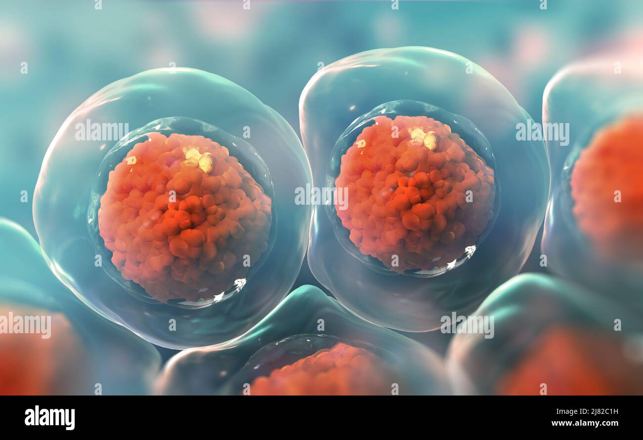 Cells under a microscope. Research of stem cells. Cellular Therapy. Cell division. 3d illustration on a light background Stock Photo