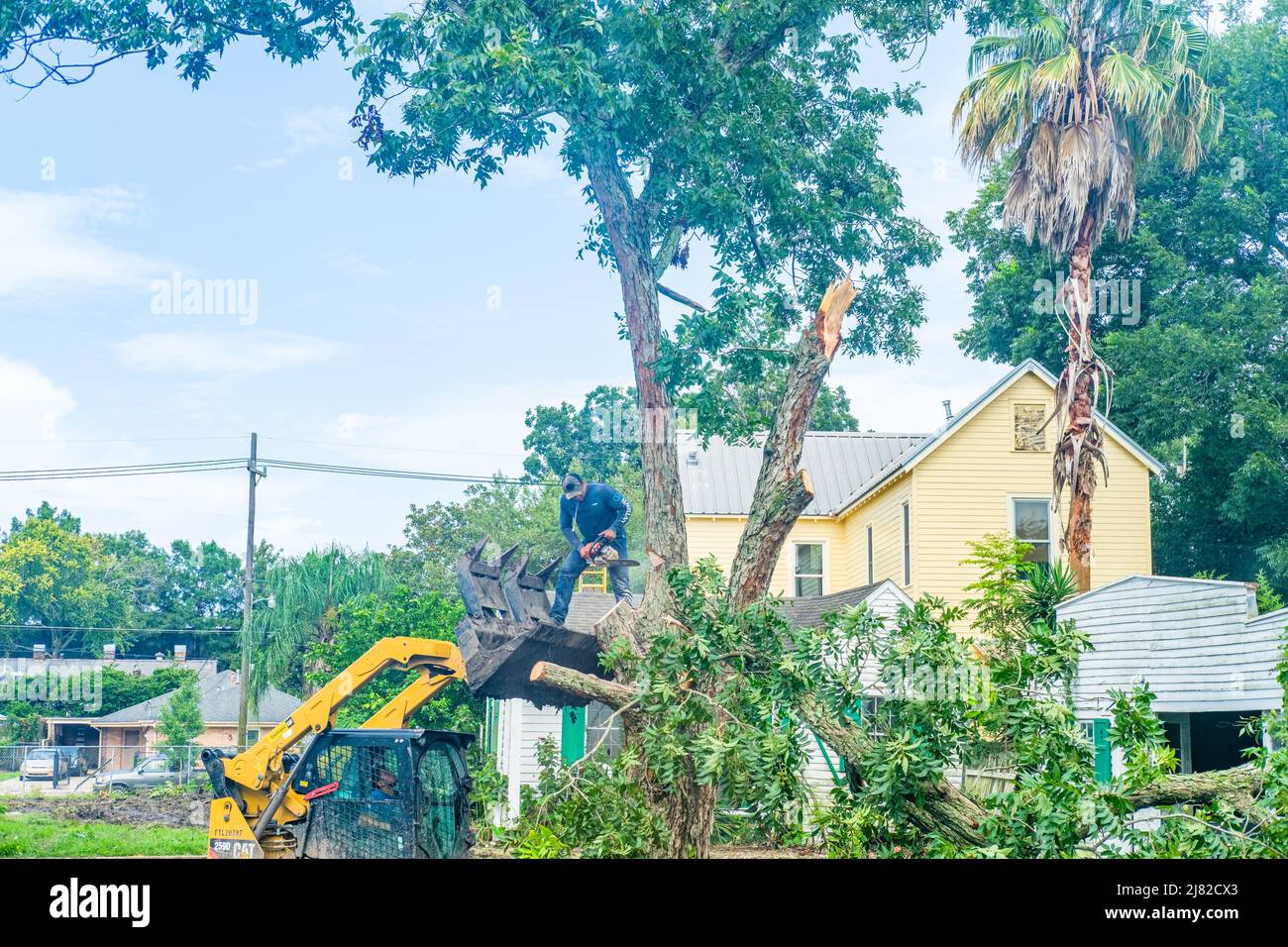 NEW ORLEANS, LA, USA - JULY 29, 2020: Worker standing on front end loader cutting down pecan tree with chainsaw in Uptown neighborhood Stock Photo