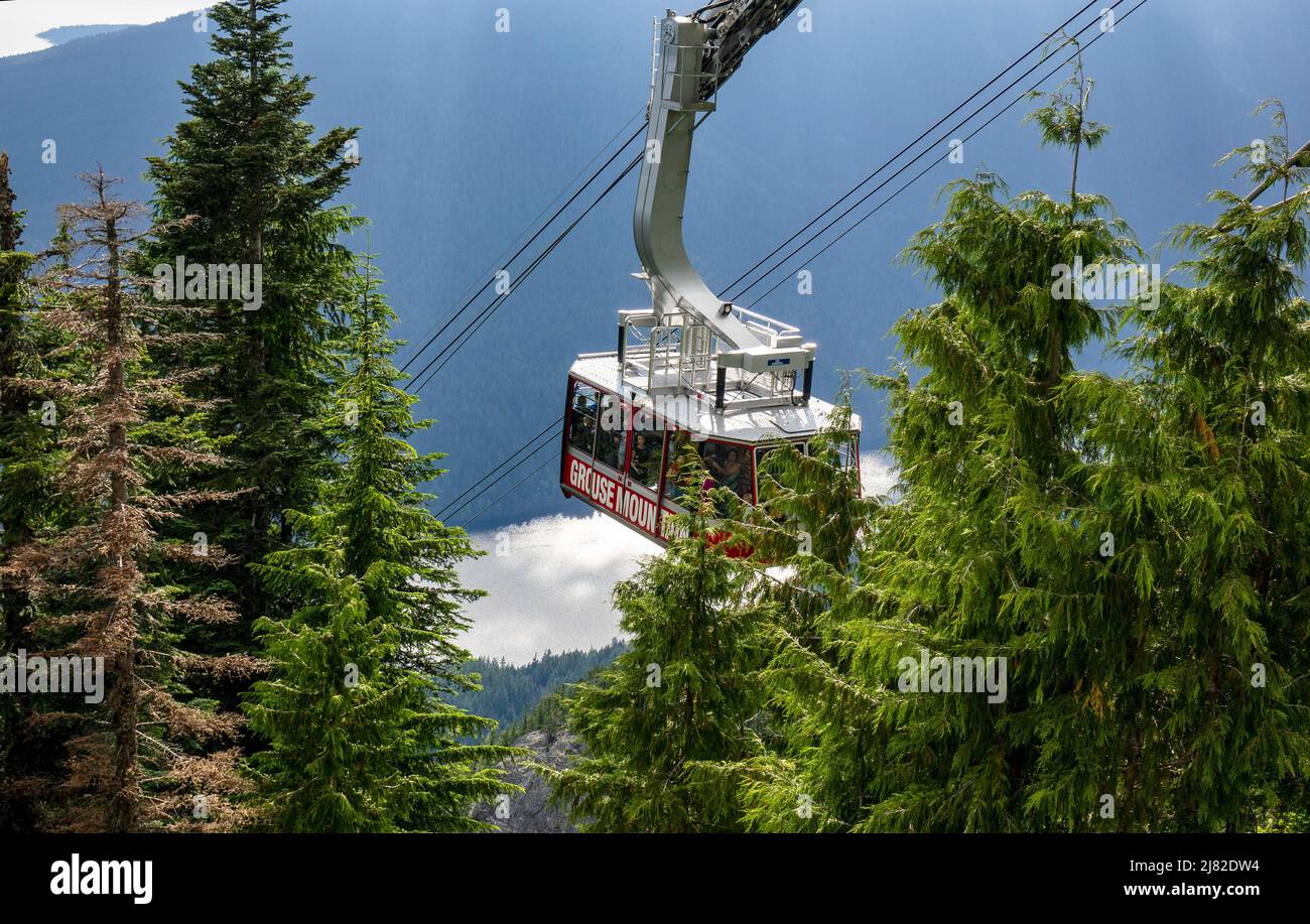 The Red Grouse Mountain Cable Car Gondola Skyride Going Down The