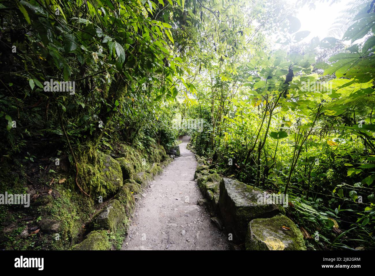 Hike to the Pailon del Diablo Waterfall, Río Verde, Banos, Ecuador, South America Stock Photo