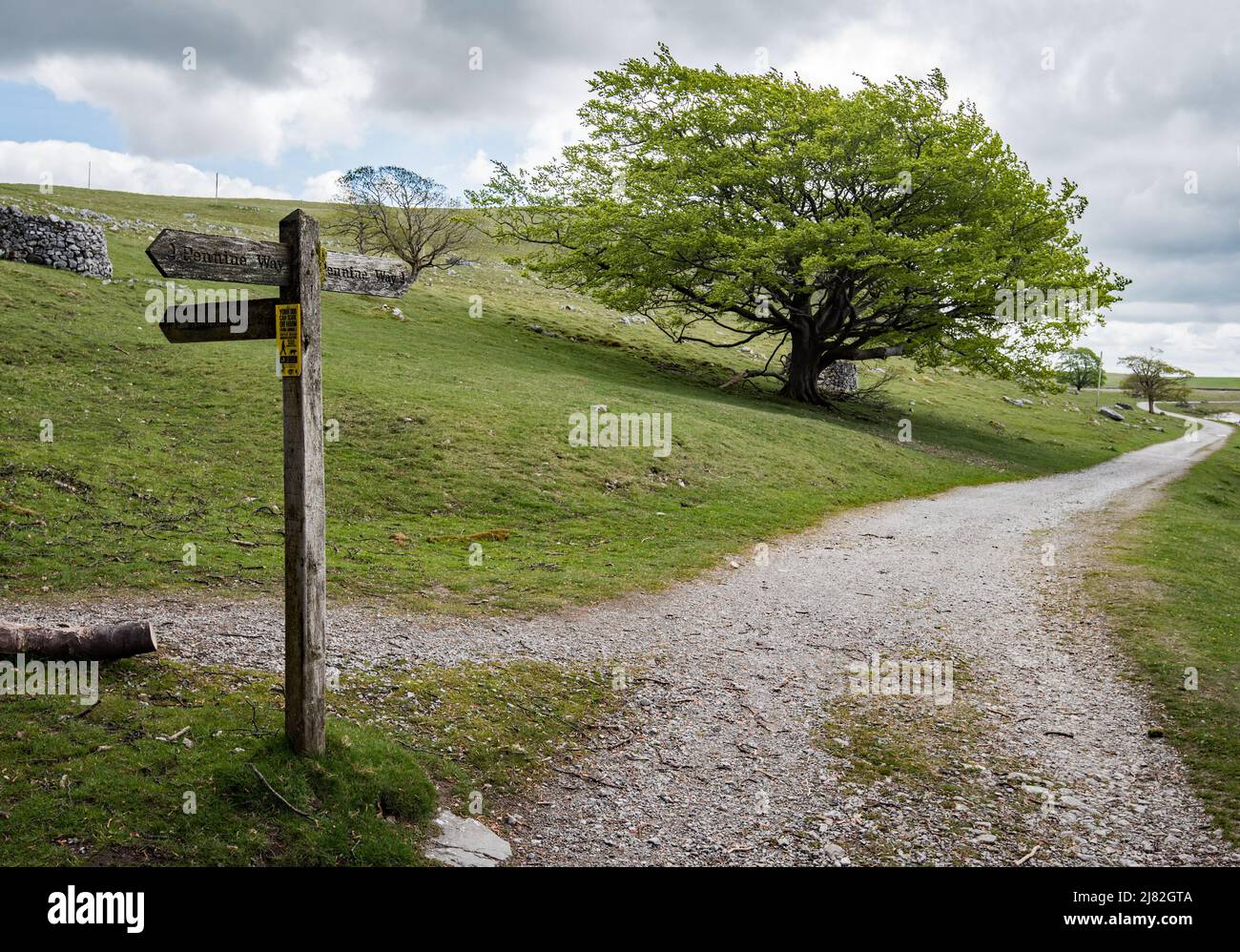 Part of the Pennine Way that runs along the edge of Malham Tarn. The   track enters woodland (the latter is part of the Field Study Centre grounds). Stock Photo