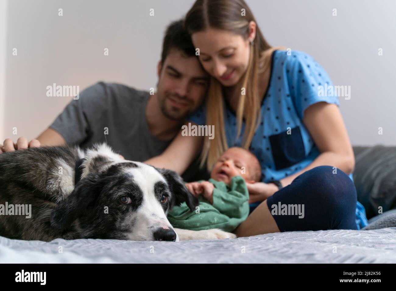 The dog of the family meets the newborn baby in the bedroom at home Stock Photo