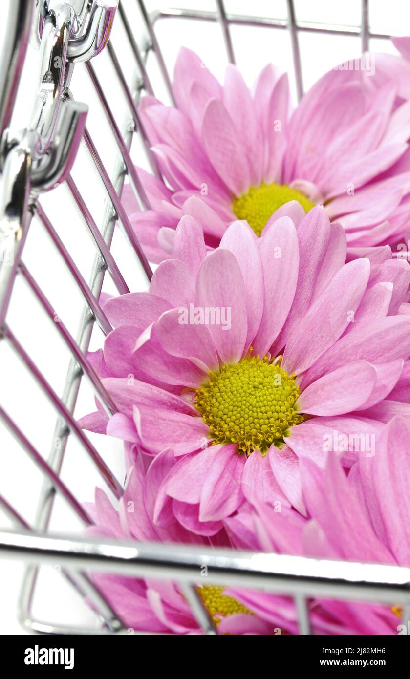 flowers in the market basket Stock Photo Alamy