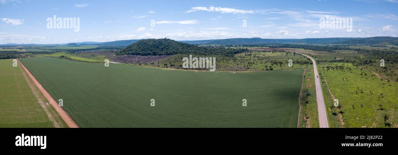 Drone aerial view of BR-163 road and huge soybean plantation area. Deforestation in the Amazon Rainforest, Mato Grosso, Brazil. Concept of agriculture Stock Photo