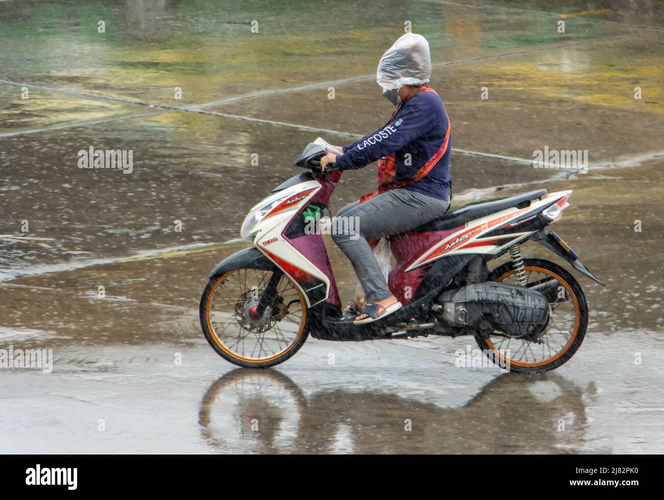 Motorcycle 2024 plastic cover