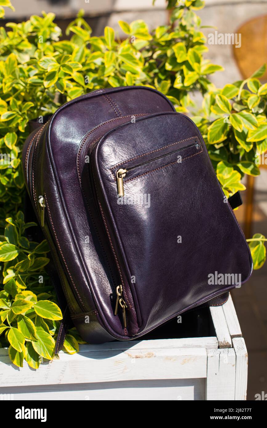 burgundy leather backpack. bush on a background Stock Photo