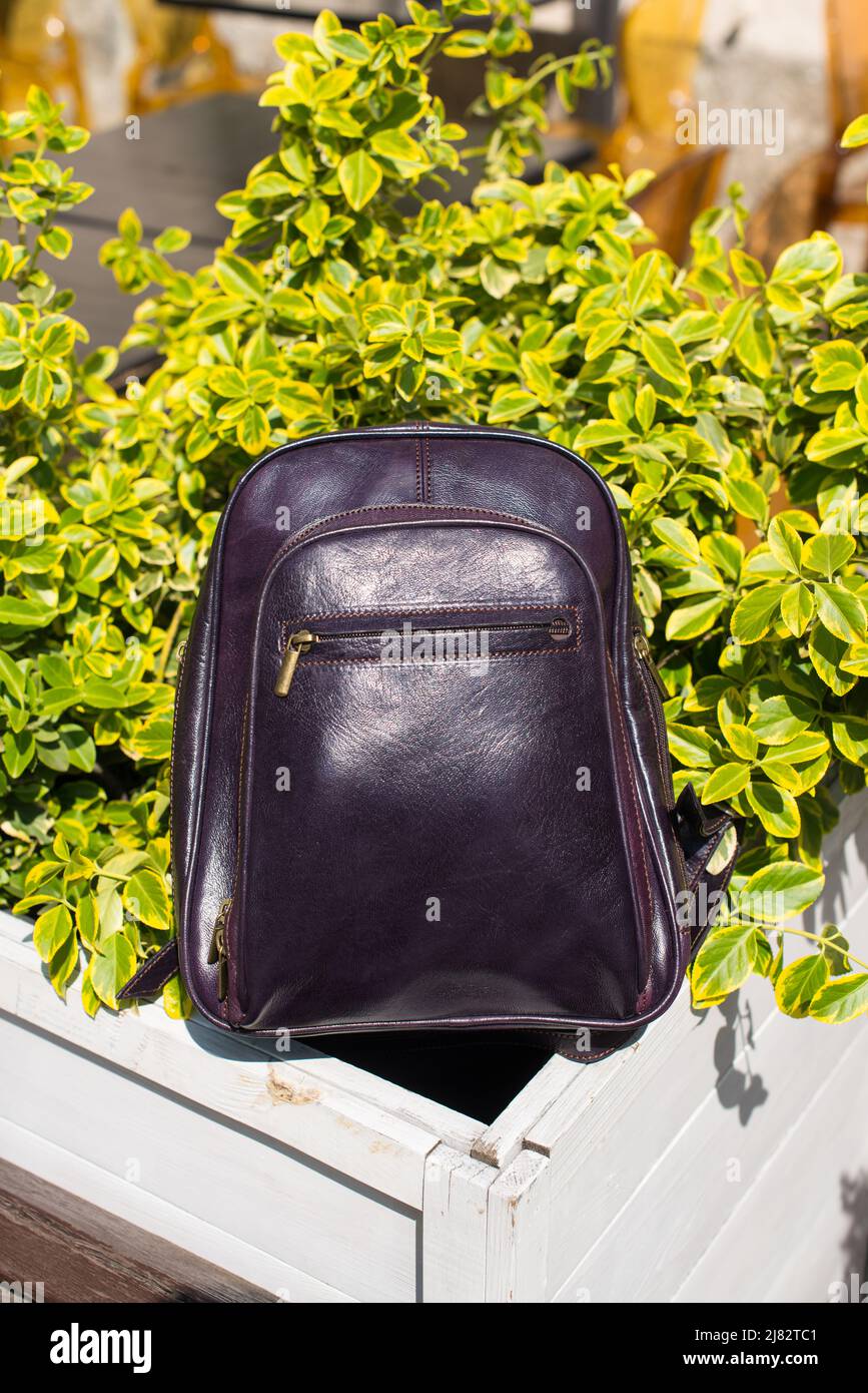 burgundy leather backpack. bush on a background Stock Photo