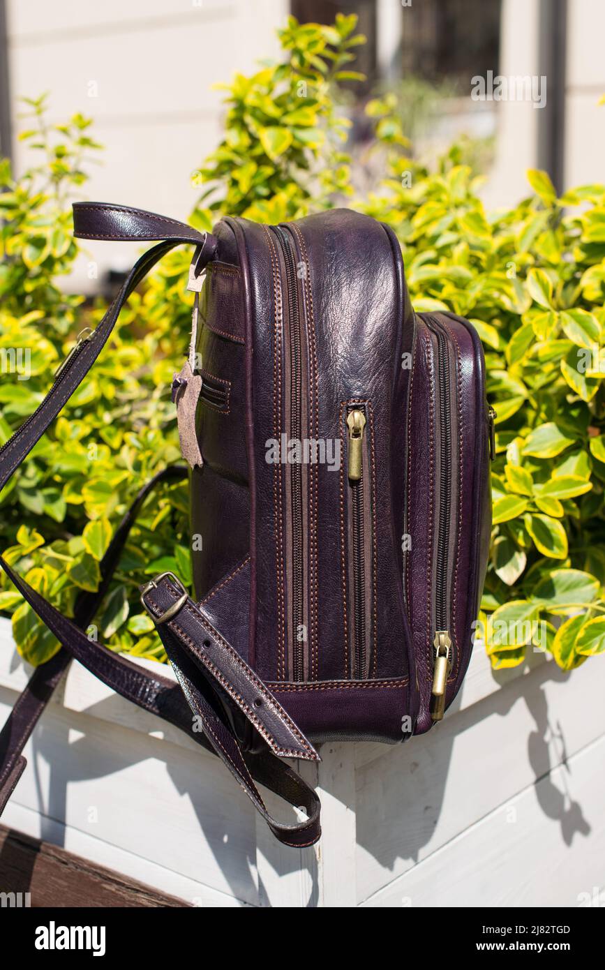burgundy leather backpack. bush on a background Stock Photo