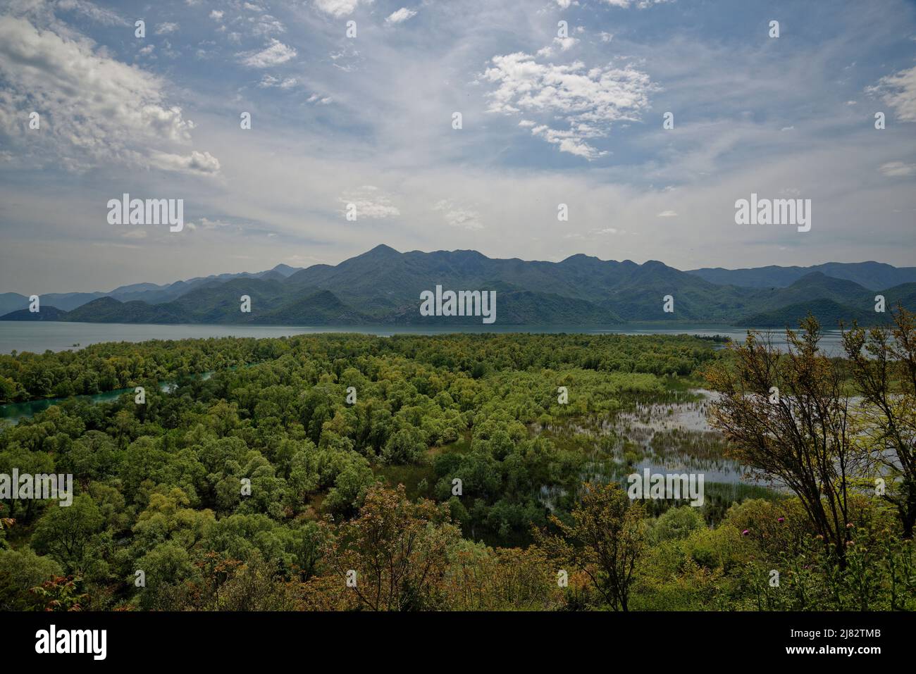 View of Lake Skadar also known as Shkodra Lake, Montenegro. Near the border with Albania. Stock Photo